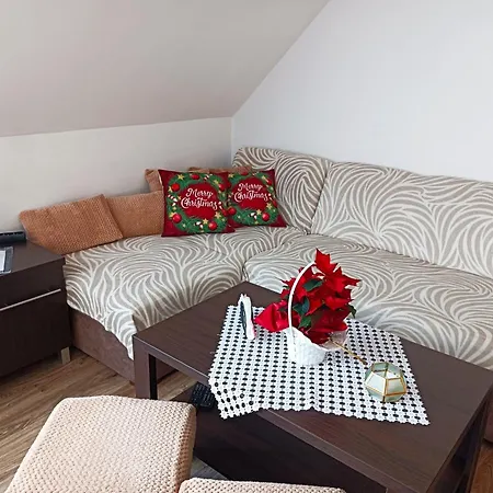 Dom Wakacyjny Gajowka Z Ogrodem I Jacuzzi Na Wylacznosc Apartman Rzyki