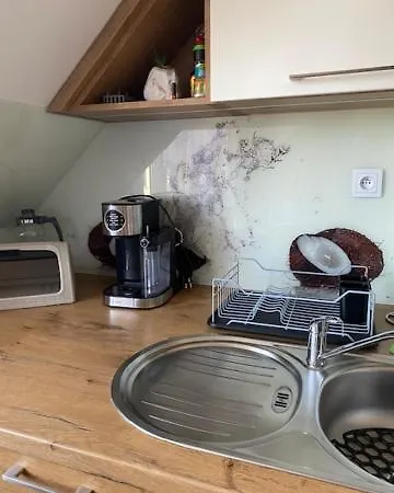 Gajowka Z Ogrodem I Jacuzzi Na Wylacznosc Apartment Rzyki