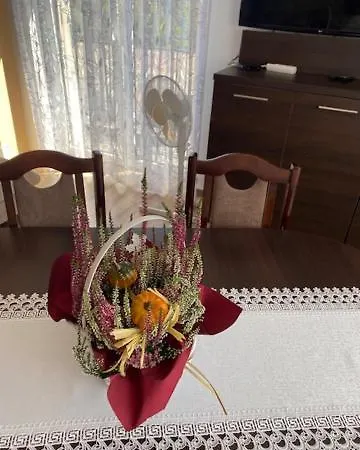 Gajowka Z Ogrodem I Jacuzzi Na Wylacznosc Apartment *