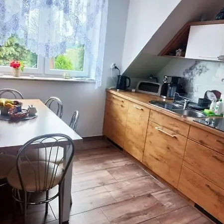 Apartment Gajowka Z Ogrodem I Jacuzzi Na Wylacznosc *